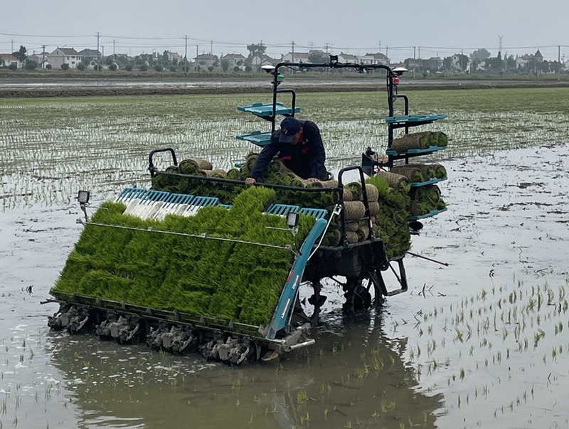 六台盒宝典资料大全